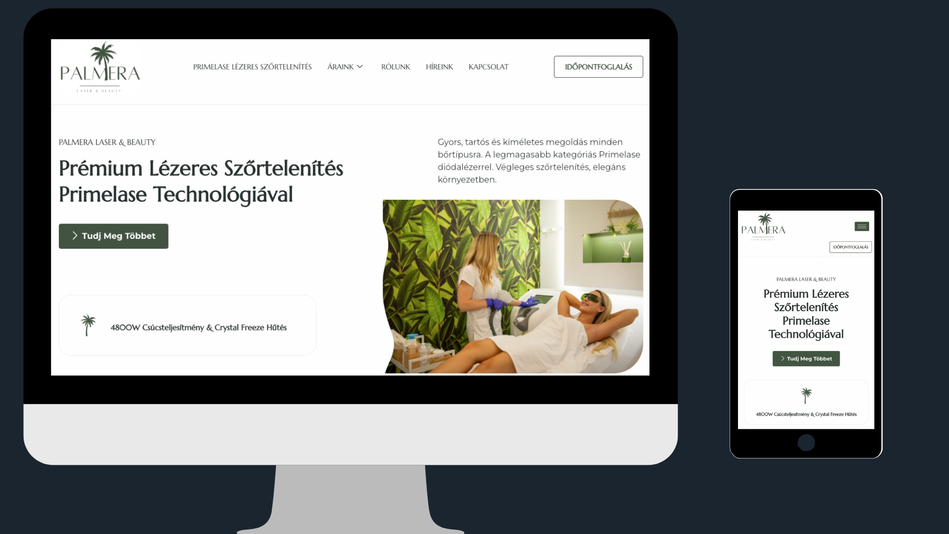 Palmera Laser weboldalának képernyőképe